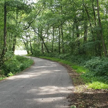Brelaarheide *
